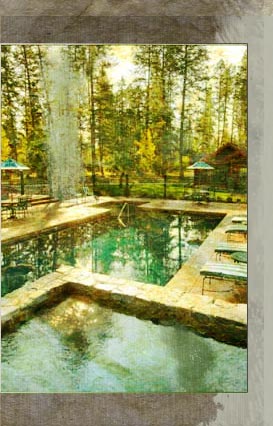 Tranquil pond surrounded by birch trees and wooden deck